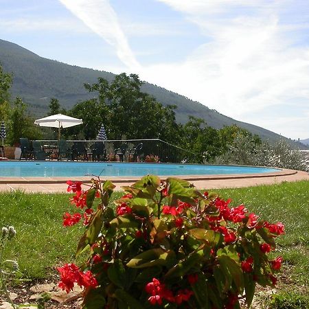Agriturismo I Mandorli Trevi Dış mekan fotoğraf