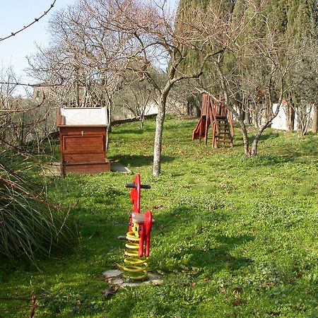 Agriturismo I Mandorli Trevi Dış mekan fotoğraf