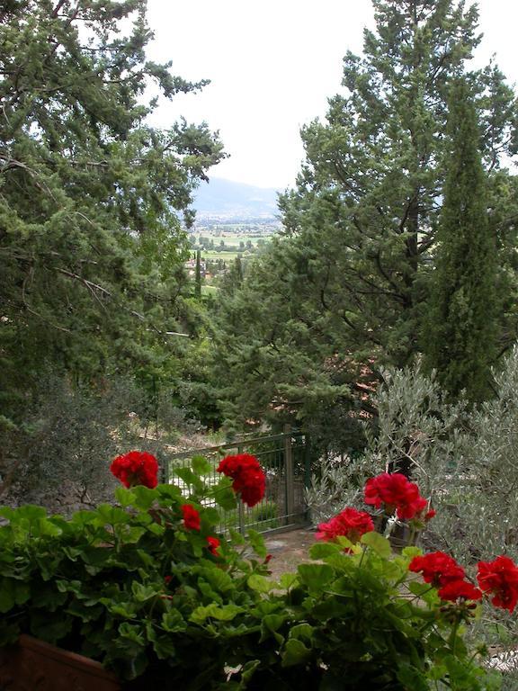 Agriturismo I Mandorli Trevi Dış mekan fotoğraf